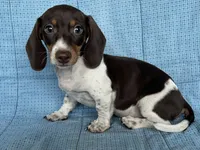 processed/4a4b3fd0-ab45-4cd6-86f7-20e7ac286177/listing/0489812e-8127-4e6d-bba8-2e63c980a302/c760e6b9-3da9-43ea-bd0d-8822fb3a6b25