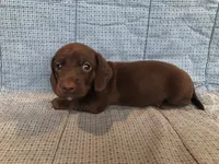 processed/4a4b3fd0-ab45-4cd6-86f7-20e7ac286177/listing/0489812e-8127-4e6d-bba8-2e63c980a302/d011bec8-c359-4111-81a3-74e19d9ecf98