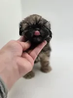 processed/4a4e49c9-dce3-4aec-9a59-7da3903acd38/listing/f0cddf95-a382-4bf1-a0b1-d94fd944903d/9009f500-6150-4e1e-aeef-cd974e03079b