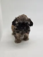 processed/4a4e49c9-dce3-4aec-9a59-7da3903acd38/listing/f0cddf95-a382-4bf1-a0b1-d94fd944903d/d934df12-64f1-4192-86f4-b29c77af774b