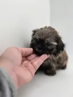 processed/4a4e49c9-dce3-4aec-9a59-7da3903acd38/listing/f0cddf95-a382-4bf1-a0b1-d94fd944903d/dad4e63e-6910-4472-b8dd-791a25569394