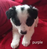 processed/4a5031a3-c7af-48f9-bb43-05923decdab4/listing/0177860a-1809-43a6-a990-9201e658f8c3/3aaf6e82-a0d0-4b20-af4d-df990fd96aae