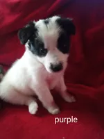 processed/4a5031a3-c7af-48f9-bb43-05923decdab4/listing/0177860a-1809-43a6-a990-9201e658f8c3/56ac93fb-1fb7-4985-ae37-cbe142899885