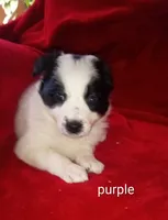 processed/4a5031a3-c7af-48f9-bb43-05923decdab4/listing/0177860a-1809-43a6-a990-9201e658f8c3/62cf8d38-0a23-4222-bd07-d2f22e4861d5