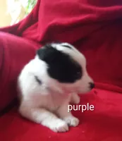 processed/4a5031a3-c7af-48f9-bb43-05923decdab4/listing/0177860a-1809-43a6-a990-9201e658f8c3/6d0f5c6b-cf68-467e-b1c0-f929af802982