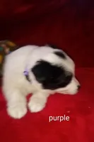 processed/4a5031a3-c7af-48f9-bb43-05923decdab4/listing/0177860a-1809-43a6-a990-9201e658f8c3/b1ab2af9-e67b-4019-b229-b49d0c5b28ba