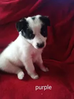 processed/4a5031a3-c7af-48f9-bb43-05923decdab4/listing/0177860a-1809-43a6-a990-9201e658f8c3/f742a4c0-5117-4bdc-ab18-b346693e0b2f