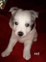 processed/4a5031a3-c7af-48f9-bb43-05923decdab4/listing/0e29cb2a-66db-4549-a660-9d264279902a/05e00abf-7f54-472f-a967-491f6369cb6d