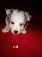 processed/4a5031a3-c7af-48f9-bb43-05923decdab4/listing/0e29cb2a-66db-4549-a660-9d264279902a/27608d54-19e1-4431-ae7b-a1b5f050677c