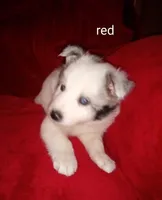 processed/4a5031a3-c7af-48f9-bb43-05923decdab4/listing/0e29cb2a-66db-4549-a660-9d264279902a/eb41d71c-791d-4fc9-aba9-c14479320a62