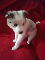 processed/4a5031a3-c7af-48f9-bb43-05923decdab4/listing/1d48d885-2b6b-450e-9845-a1b9cc3a93d6/01a5a23c-036e-4ab5-a637-134b4ca060b9