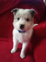 processed/4a5031a3-c7af-48f9-bb43-05923decdab4/listing/1d48d885-2b6b-450e-9845-a1b9cc3a93d6/2f7e877b-9191-4eda-8f6a-b9c1cd292ad5