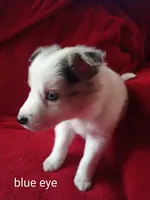 processed/4a5031a3-c7af-48f9-bb43-05923decdab4/listing/1d48d885-2b6b-450e-9845-a1b9cc3a93d6/61f90539-0475-4ede-92e1-5dfdd4e0f3b7