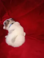 processed/4a5031a3-c7af-48f9-bb43-05923decdab4/listing/1d48d885-2b6b-450e-9845-a1b9cc3a93d6/72cd6847-397a-4275-9df9-7ef008d97db1