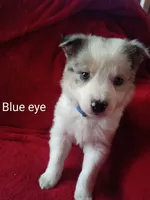 processed/4a5031a3-c7af-48f9-bb43-05923decdab4/listing/1d48d885-2b6b-450e-9845-a1b9cc3a93d6/9826039c-e039-4e29-9dcb-58182e9047e4