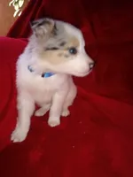 processed/4a5031a3-c7af-48f9-bb43-05923decdab4/listing/1d48d885-2b6b-450e-9845-a1b9cc3a93d6/be271c0c-129a-469a-ab9f-079d3ba901ab