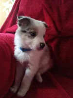 processed/4a5031a3-c7af-48f9-bb43-05923decdab4/listing/1d48d885-2b6b-450e-9845-a1b9cc3a93d6/eb092a9d-96b7-4488-857b-69c0df1d48d4