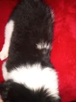 processed/4a5031a3-c7af-48f9-bb43-05923decdab4/listing/ee307a14-9777-4290-acc4-31f2a4fbd995/2064c505-c1bd-4cca-8e2d-5c73e512ab0f