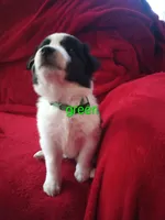 processed/4a5031a3-c7af-48f9-bb43-05923decdab4/listing/ee307a14-9777-4290-acc4-31f2a4fbd995/468e15f1-80c6-4ff4-9116-707cd4204e3e