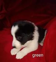 processed/4a5031a3-c7af-48f9-bb43-05923decdab4/listing/ee307a14-9777-4290-acc4-31f2a4fbd995/4f33aa45-18e3-4d16-9d80-e121bb87ca2d