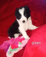 processed/4a5031a3-c7af-48f9-bb43-05923decdab4/listing/ee307a14-9777-4290-acc4-31f2a4fbd995/505c340c-c768-47a5-b488-bb5c72ce7137