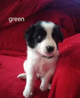 processed/4a5031a3-c7af-48f9-bb43-05923decdab4/listing/ee307a14-9777-4290-acc4-31f2a4fbd995/857aff7e-9e1c-44db-8dad-3eb8637f878f