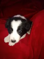 processed/4a5031a3-c7af-48f9-bb43-05923decdab4/listing/ee307a14-9777-4290-acc4-31f2a4fbd995/89fdbaf2-4df9-4c38-8c63-0d5a17932a55