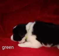 processed/4a5031a3-c7af-48f9-bb43-05923decdab4/listing/ee307a14-9777-4290-acc4-31f2a4fbd995/9ea7c2ae-82de-4932-8211-2e958e8a0840