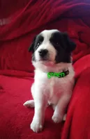 processed/4a5031a3-c7af-48f9-bb43-05923decdab4/listing/ee307a14-9777-4290-acc4-31f2a4fbd995/a76e98ad-fc9c-4359-83a3-cc7dafab9a8f