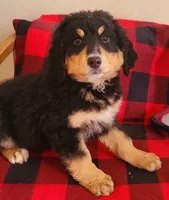 processed/4a52950f-3396-4593-a312-b778bad7f4fe/listing/132add23-bb78-4856-8172-5976818de462/8c8082b3-638a-46ca-b33e-fc86c1f88b9a