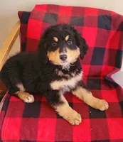 processed/4a52950f-3396-4593-a312-b778bad7f4fe/listing/132add23-bb78-4856-8172-5976818de462/b75cb382-52e2-440a-bcbf-6686c4c855b1