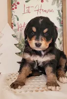 processed/4a52950f-3396-4593-a312-b778bad7f4fe/listing/132add23-bb78-4856-8172-5976818de462/fa69a768-e906-4a78-888a-610729e801e3