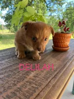 processed/4a5570fd-0d57-41bb-acb0-cf7ffa185e0f/listing/0a6088dc-0774-4fc9-8784-3baa872e6219/8dd0fc17-992e-4e4f-9a2f-f2e9064938a8