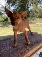 processed/4a5570fd-0d57-41bb-acb0-cf7ffa185e0f/listing/0a6088dc-0774-4fc9-8784-3baa872e6219/be89de94-9cbc-4dc7-a9e7-8175a99b197f