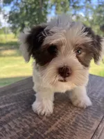 processed/4a5570fd-0d57-41bb-acb0-cf7ffa185e0f/listing/5e19cf1d-5730-4e7d-a040-f22687f3d51c/79728d10-4d27-454d-a09a-7ae42c454bbc