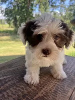 processed/4a5570fd-0d57-41bb-acb0-cf7ffa185e0f/listing/5e19cf1d-5730-4e7d-a040-f22687f3d51c/9948fd46-6332-414a-a5f5-0a34ae1483a4