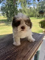 processed/4a5570fd-0d57-41bb-acb0-cf7ffa185e0f/listing/5e19cf1d-5730-4e7d-a040-f22687f3d51c/cff80706-b3ce-40b8-a2b7-542b03613c38