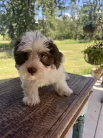 processed/4a5570fd-0d57-41bb-acb0-cf7ffa185e0f/listing/5e19cf1d-5730-4e7d-a040-f22687f3d51c/ea4fd51a-c1e5-45f5-9379-2742a467f063