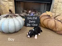 processed/4a5570fd-0d57-41bb-acb0-cf7ffa185e0f/listing/b5cb19c4-d38e-4ce7-8f71-5111275cc50c/0b26eac7-40bb-436e-81da-ef306612133d