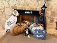 processed/4a5570fd-0d57-41bb-acb0-cf7ffa185e0f/listing/b5cb19c4-d38e-4ce7-8f71-5111275cc50c/3b3fa884-1465-4039-bce0-4b613d9c5a9e