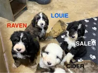 processed/4a5570fd-0d57-41bb-acb0-cf7ffa185e0f/listing/b5cb19c4-d38e-4ce7-8f71-5111275cc50c/52e7b793-1e4e-4c01-ad6c-c51f8a7db505