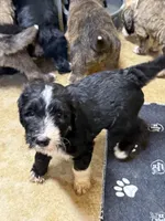 processed/4a5570fd-0d57-41bb-acb0-cf7ffa185e0f/listing/b5cb19c4-d38e-4ce7-8f71-5111275cc50c/bc6e9d38-cfcf-4c32-8380-fd8b098ad506