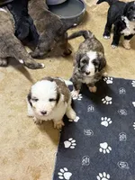 processed/4a5570fd-0d57-41bb-acb0-cf7ffa185e0f/listing/c5052e83-02b6-44d7-9eb3-7415da1f9899/11cd9731-4adb-465d-8b18-e5986a5190a1