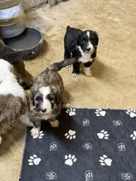 processed/4a5570fd-0d57-41bb-acb0-cf7ffa185e0f/listing/c5052e83-02b6-44d7-9eb3-7415da1f9899/2d74f14a-1358-4c2f-a75c-6fab39f02b2c