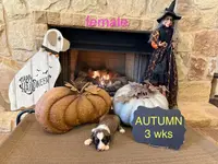 processed/4a5570fd-0d57-41bb-acb0-cf7ffa185e0f/listing/c5052e83-02b6-44d7-9eb3-7415da1f9899/394b39dc-a4ac-41f0-9db3-864a5dc8a301