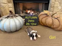 processed/4a5570fd-0d57-41bb-acb0-cf7ffa185e0f/listing/c5052e83-02b6-44d7-9eb3-7415da1f9899/98d18890-11e1-443f-b3f5-1bcf865a9e32