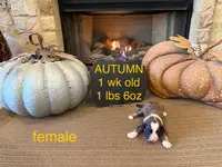 processed/4a5570fd-0d57-41bb-acb0-cf7ffa185e0f/listing/c5052e83-02b6-44d7-9eb3-7415da1f9899/a6c57ad6-a0ae-4c9f-a694-ca77609a6086