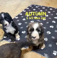 processed/4a5570fd-0d57-41bb-acb0-cf7ffa185e0f/listing/c5052e83-02b6-44d7-9eb3-7415da1f9899/c64f46a9-d733-458d-9c5c-8b12d2410e6d