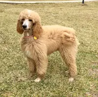 processed/4a5570fd-0d57-41bb-acb0-cf7ffa185e0f/listing/c5052e83-02b6-44d7-9eb3-7415da1f9899/d76015de-5c83-462c-8c85-21c0f276613e