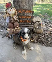 processed/4a5570fd-0d57-41bb-acb0-cf7ffa185e0f/listing/c5052e83-02b6-44d7-9eb3-7415da1f9899/ddd94334-d9c4-47cc-b46c-d809fb1fe71e